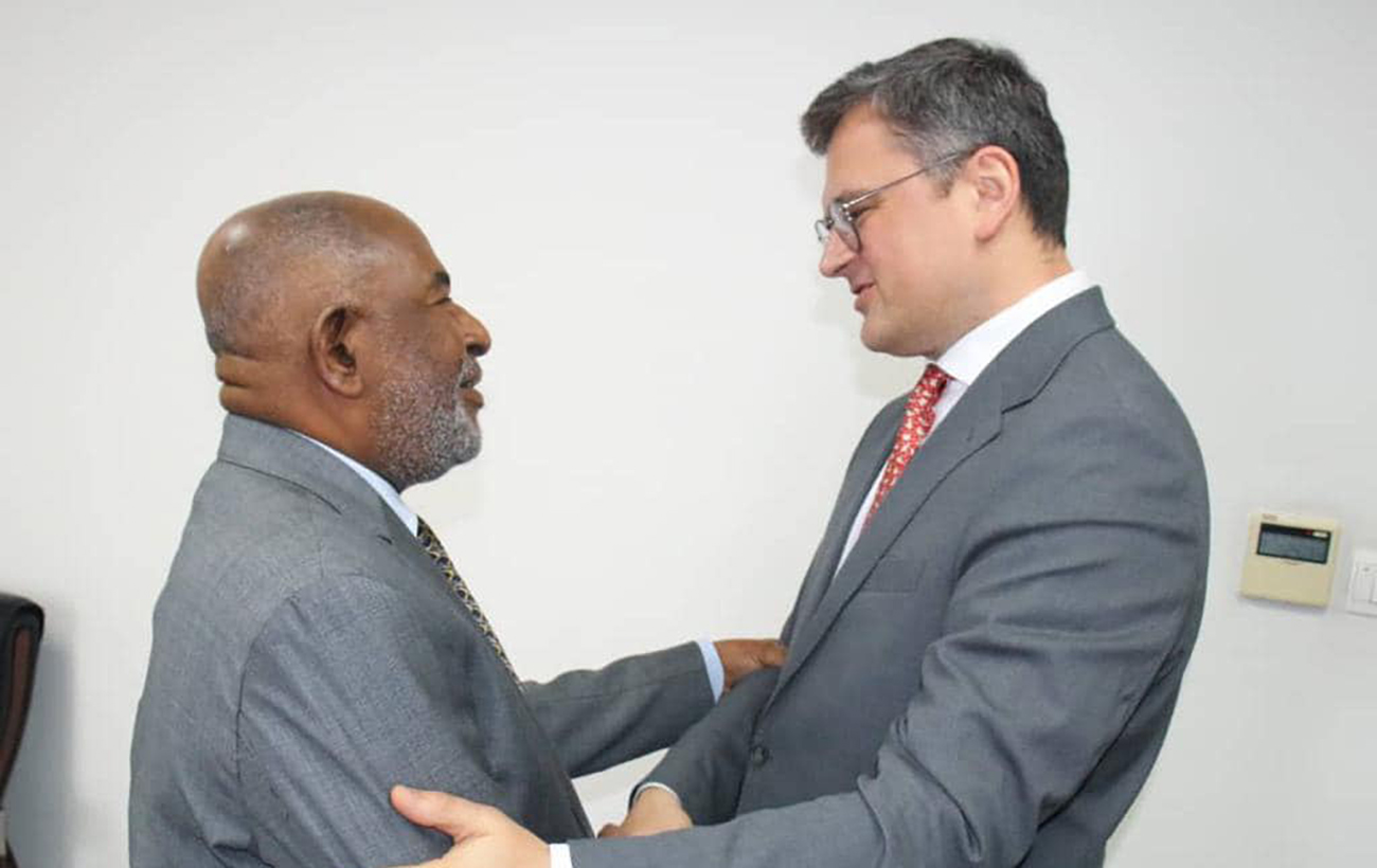 Battle for South. Why Africa supports Russia and how Ukraine plans to change it